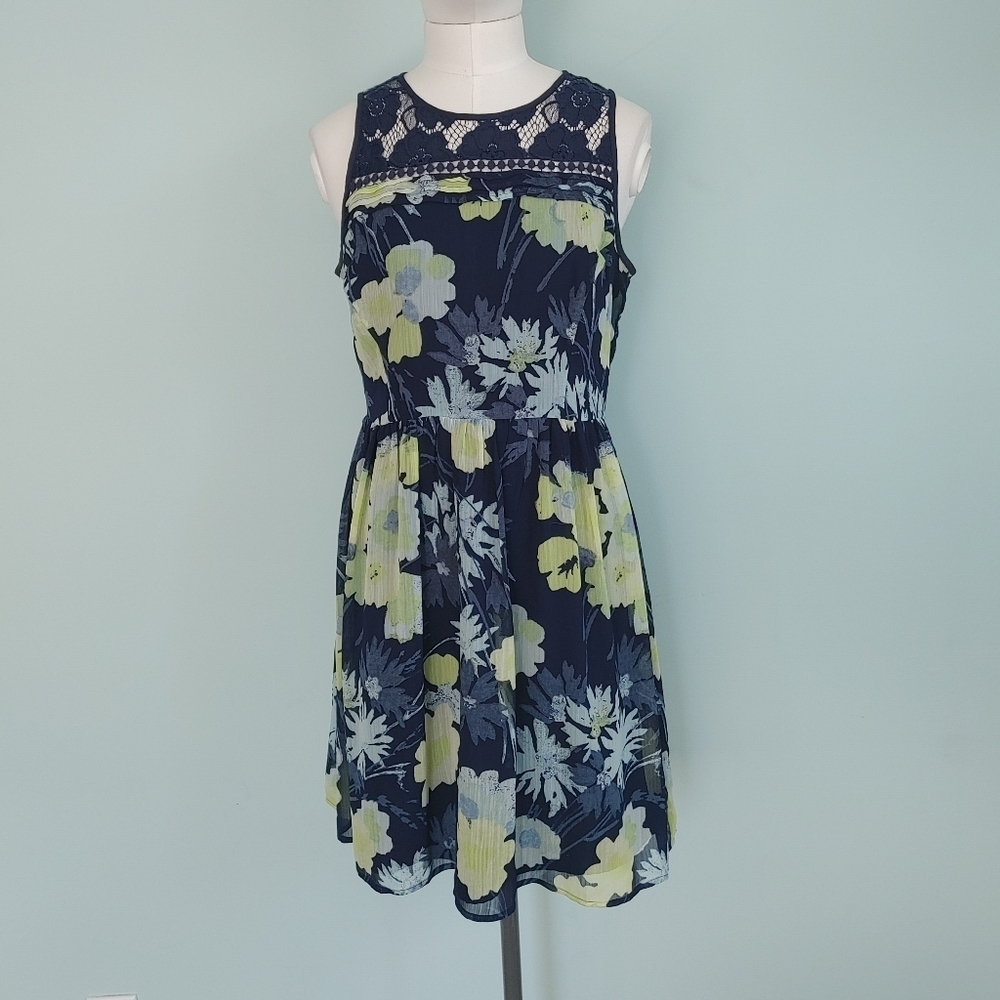 Ann Taylor LOFT | dress